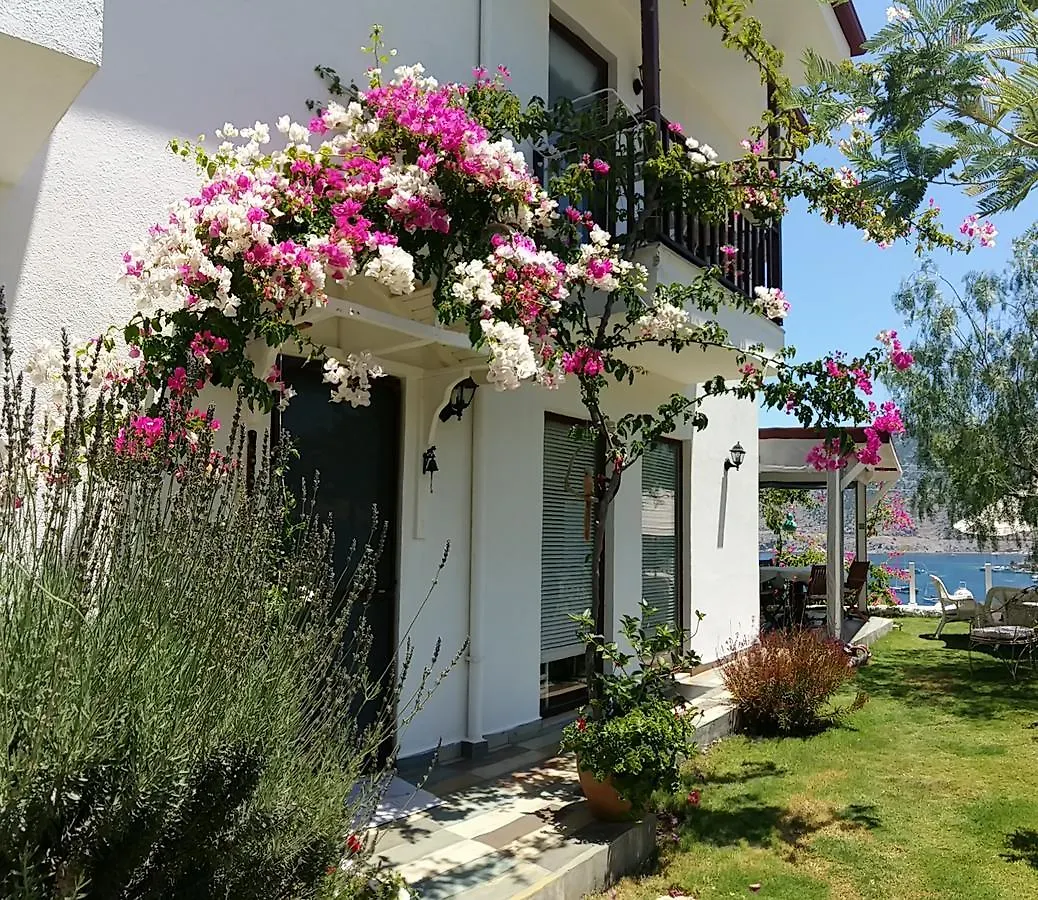 Masal Tatil Evi Selimiye  3*, Selimiye (Aegean) Turcja